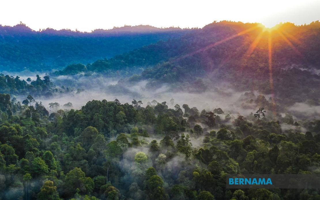 Kelantan Commits to Replacing All Degazetted Forest Reserves