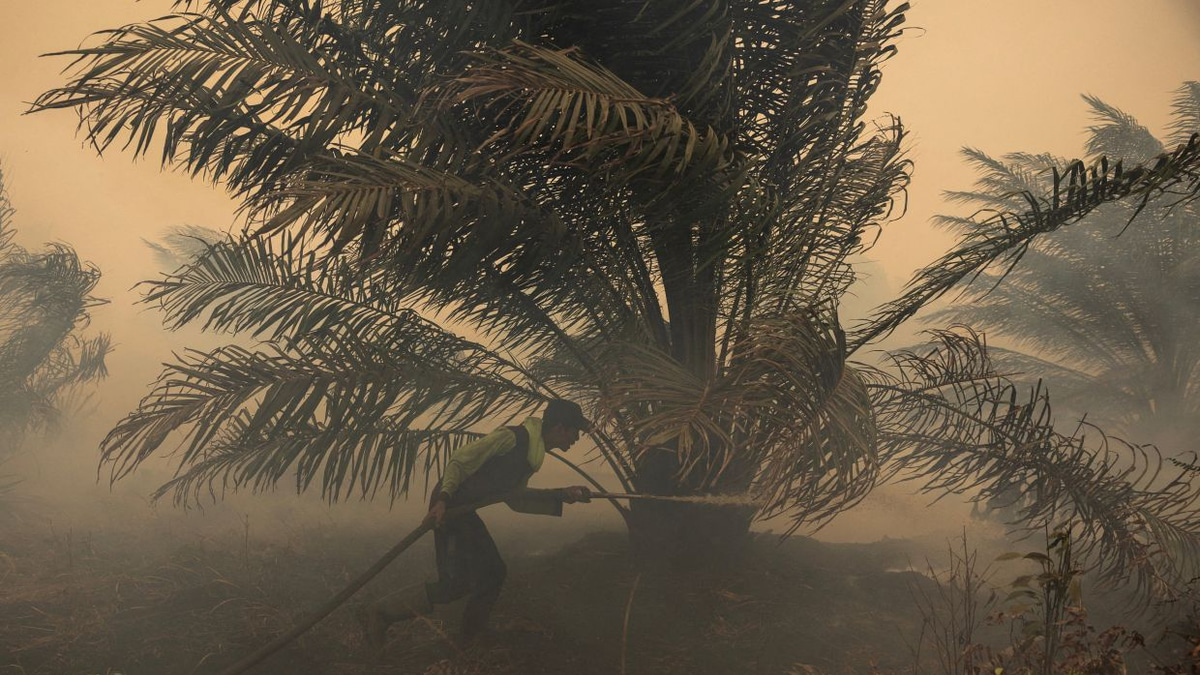 Japan deploys helicopters as hazardous haze engulfs Kalimantan, ISPU readings exceed 1,000