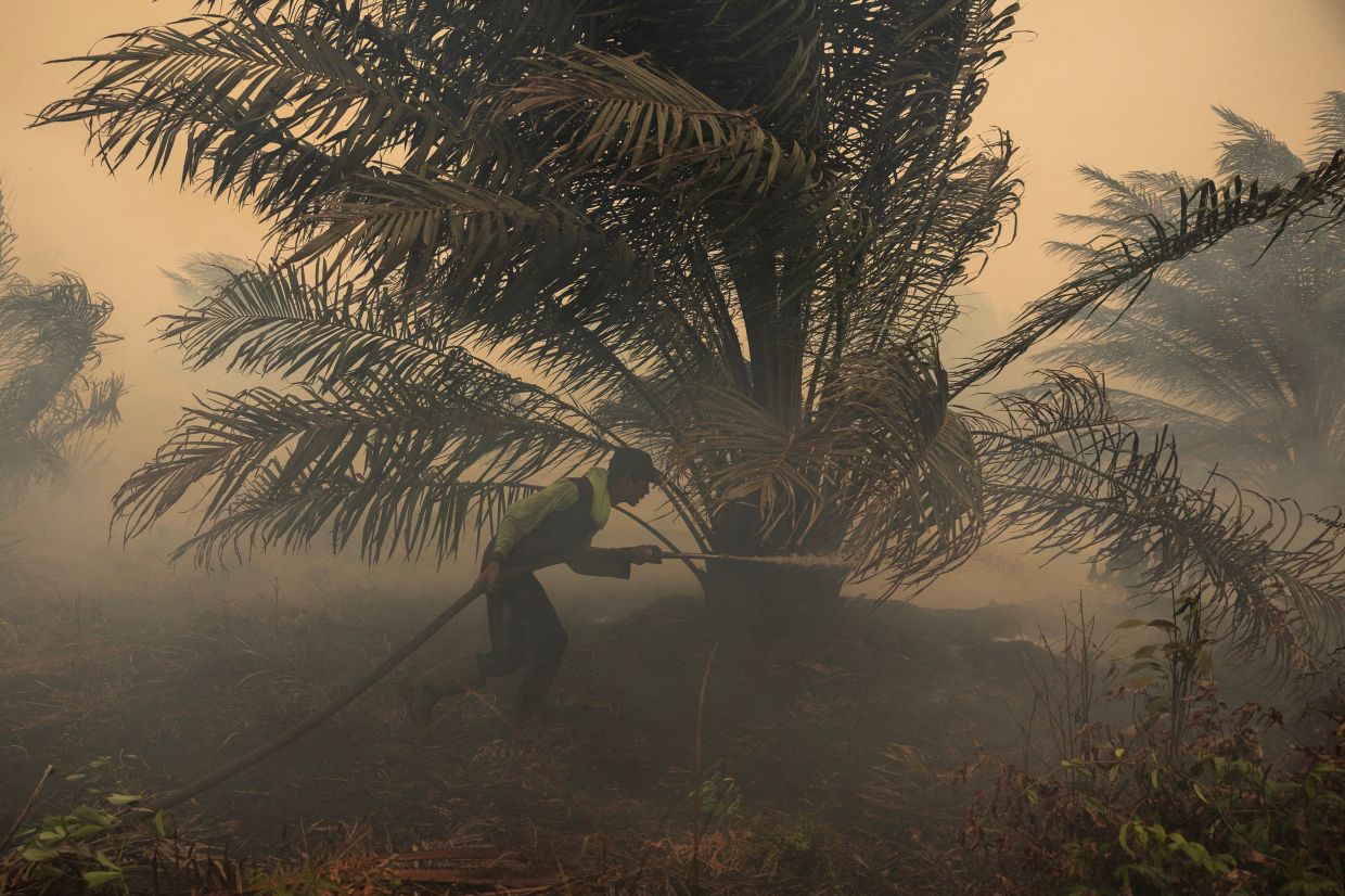 Japan deploys helicopters as hazardous haze engulfs Kalimantan, ISPU readings exceed 1,000