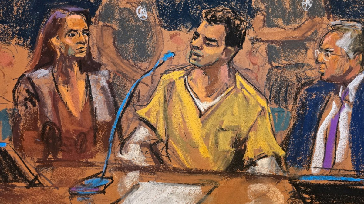 From Disenchanted Patient to Accused Killer: The Mangione Case and America's Healthcare Rage