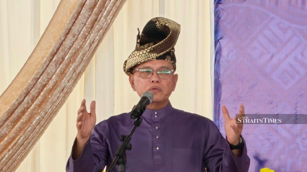 Negri Sembilan polls signal voters reject racial messaging, says Umno deputy