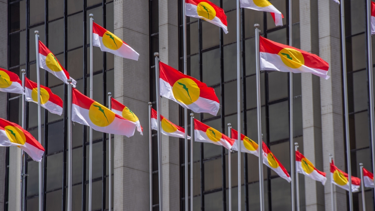 Perlis Umno Prepares Independent State Election Challenge