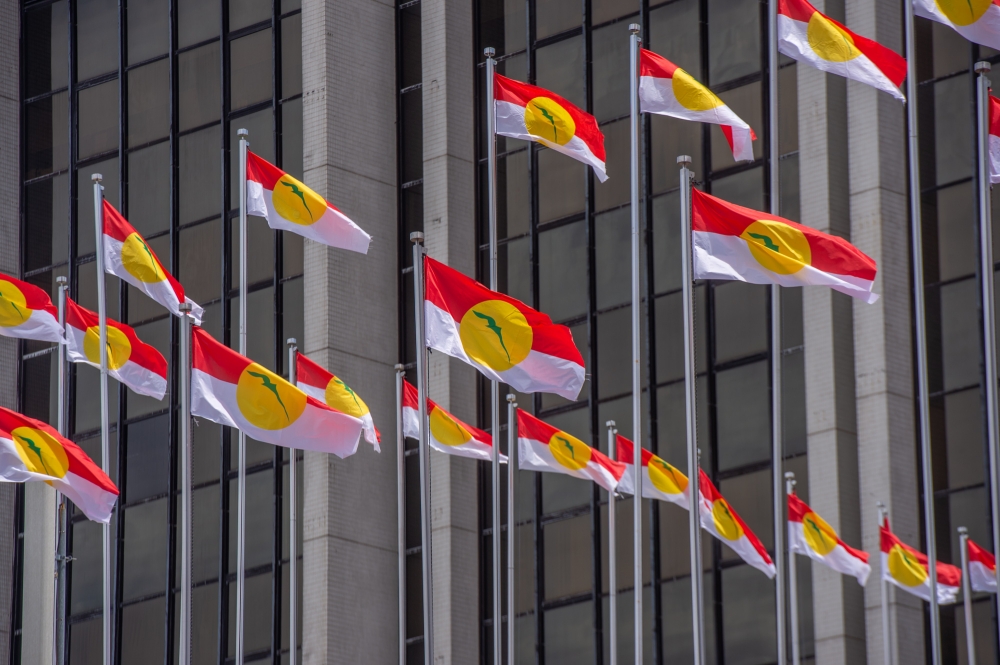 Perlis Umno Prepares Independent State Election Challenge