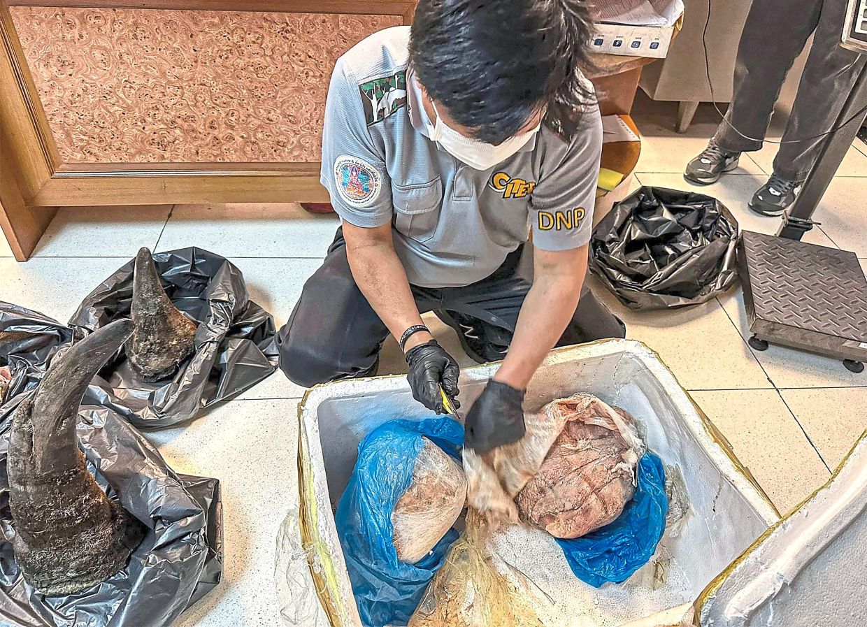 Thailand Tightens Airport Security with 'Zero Trust' Protocol Following Smuggling Scandal