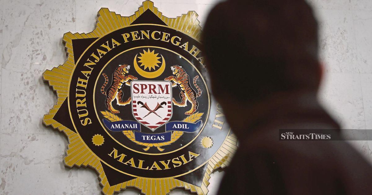 MACC Probes Felda Palong 7 Replanting Scheme Over Seedling Quality Concerns