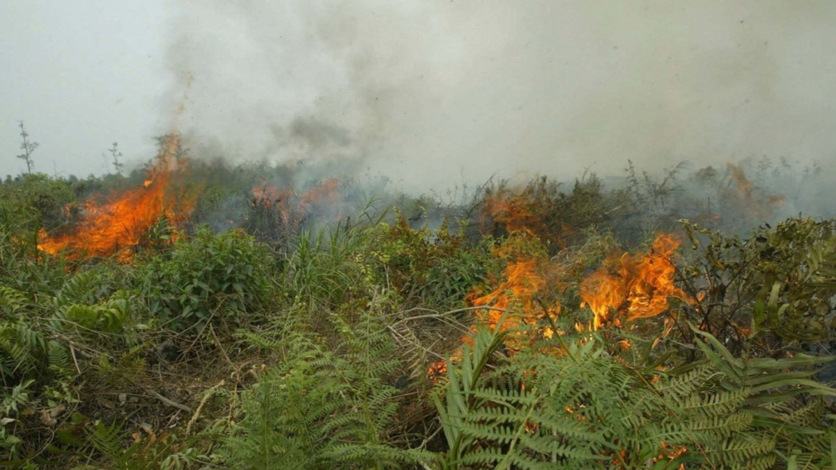 Indonesia Confronts Unprecedented Forest Fire Crisis as West Kalimantan Hotspots Reach Critical Levels