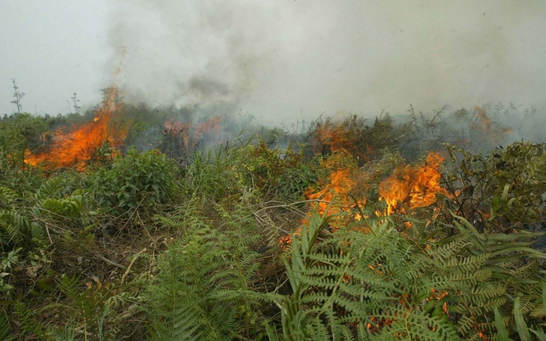 Indonesia Confronts Unprecedented Forest Fire Crisis as West Kalimantan Hotspots Reach Critical Levels
