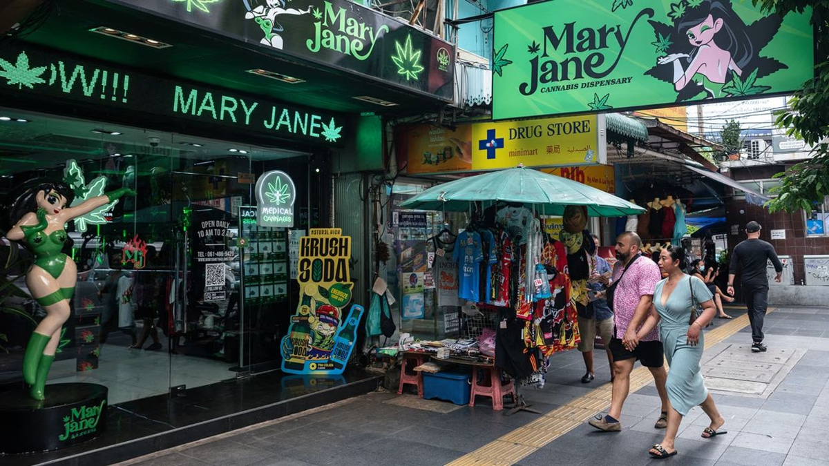 Thailand's Cannabis Conundrum: Regulators Grapple with Loopholes, Black Market and Public Health Risks