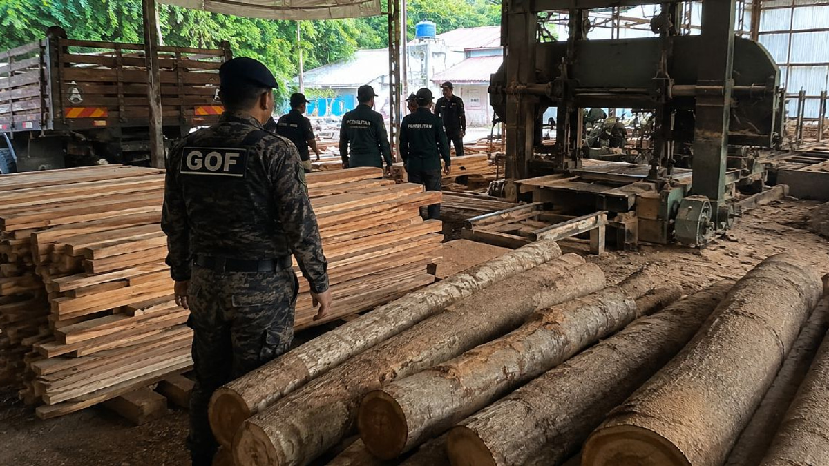 Timber and equipment valued at RM640,510 seized in Terengganu sawmill raid