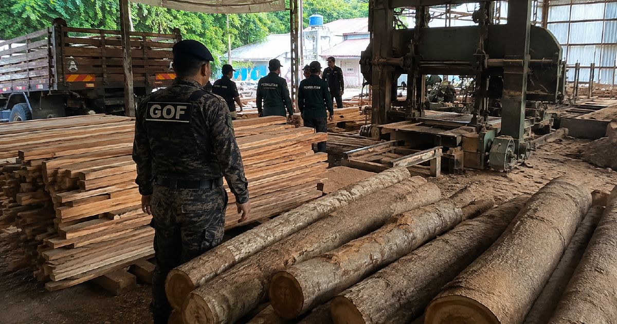 Timber and equipment valued at RM640,510 seized in Terengganu sawmill raid