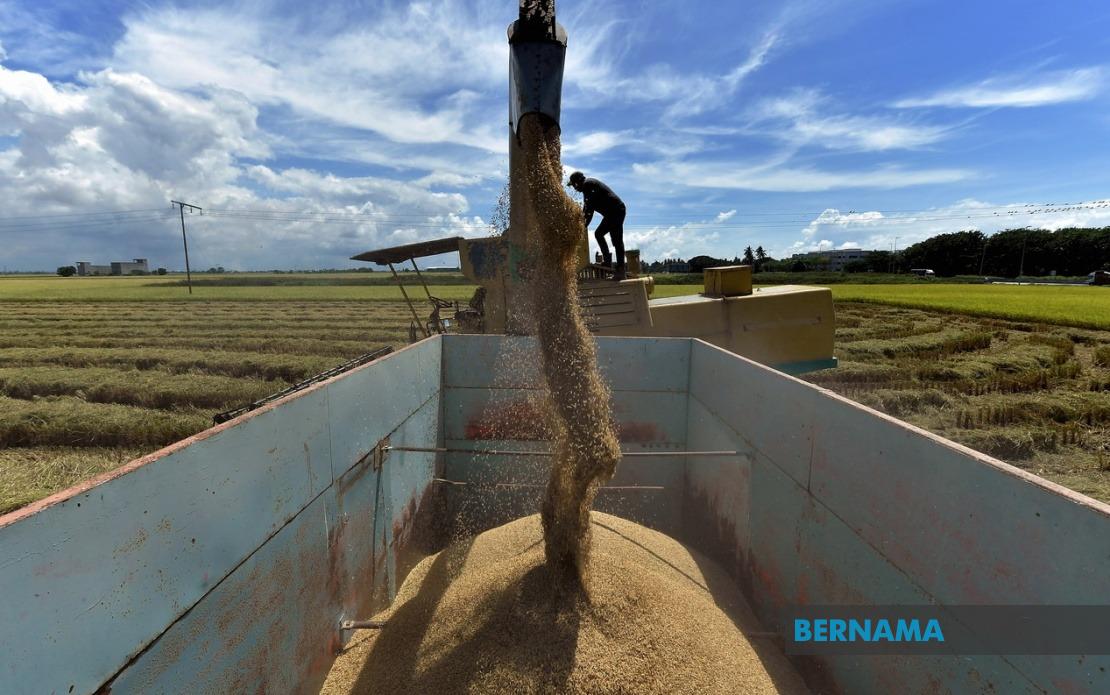 Malaysia Moves to Strengthen Rice Market Controls With Tougher Penalties