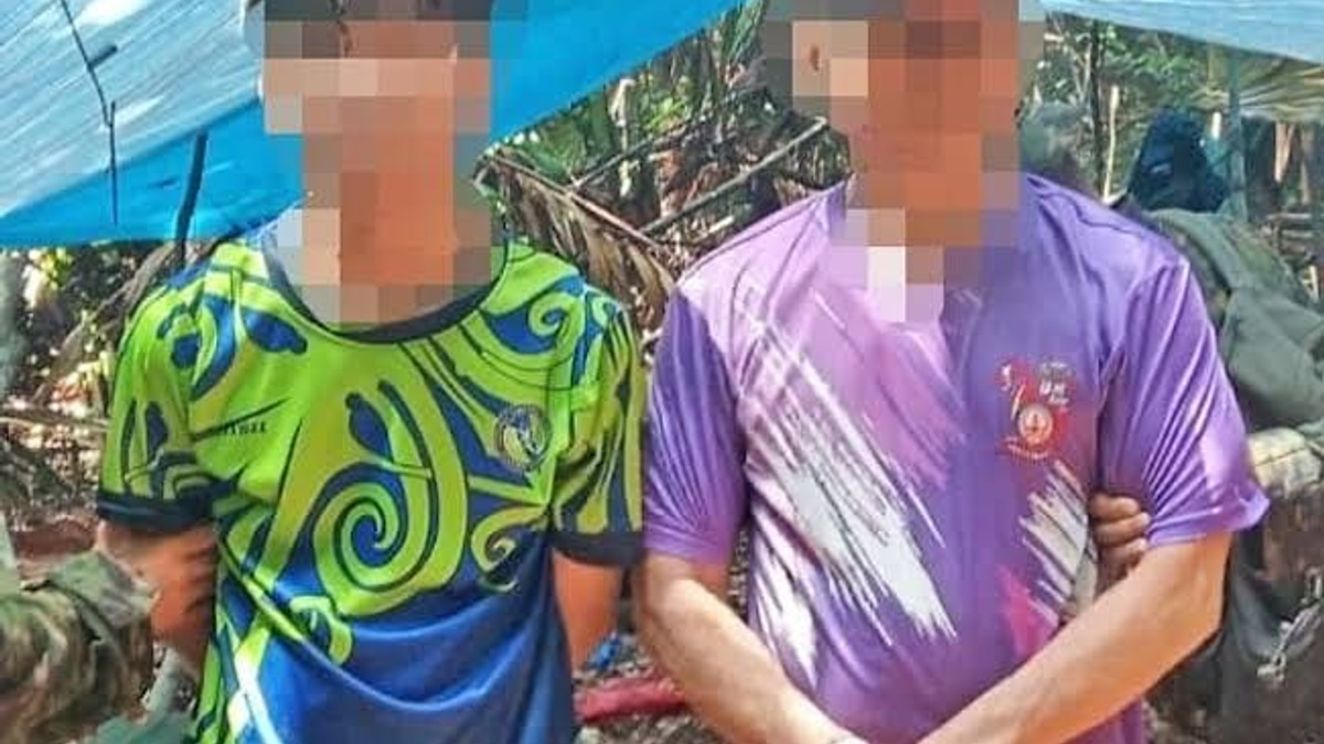 Brunei Arrests Two Foreign Nationals Over Agarwood Theft in Tutong Forest