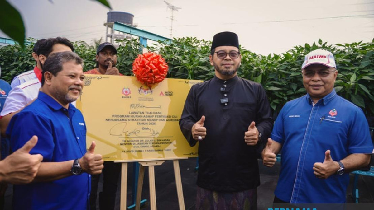 MAIWP Scales Up Asnaf Chilli Fertigation Initiative to Five Acres Following Strong Maiden Harvest