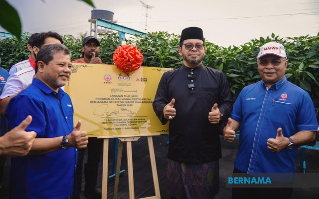 MAIWP Scales Up Asnaf Chilli Fertigation Initiative to Five Acres Following Strong Maiden Harvest