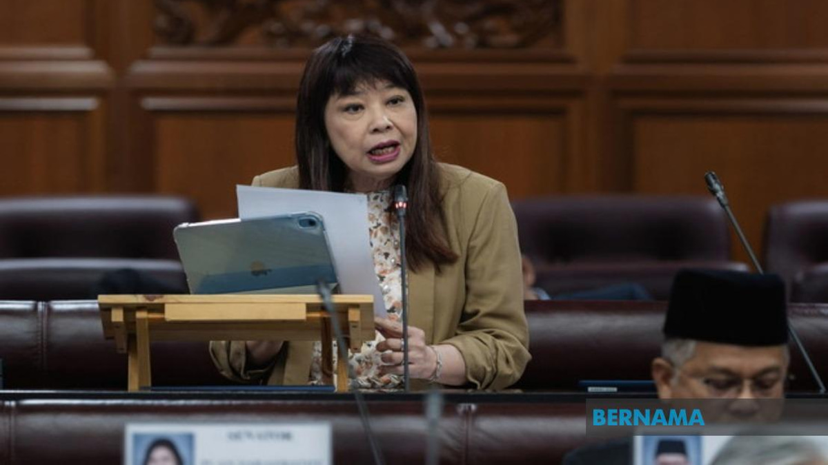 Government Develops Domestic Violence Offenders Registry to Track Repeat Abusers