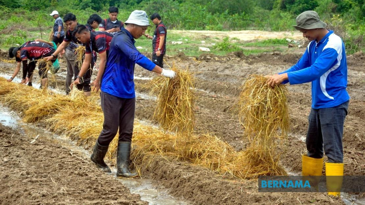 Agricultural TVET Graduation Rates Climb, Yet Sector Still Struggles to Attract Young Talent