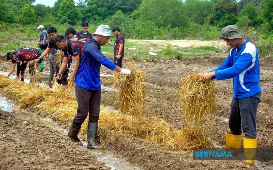 Agricultural TVET Graduation Rates Climb, Yet Sector Still Struggles to Attract Young Talent