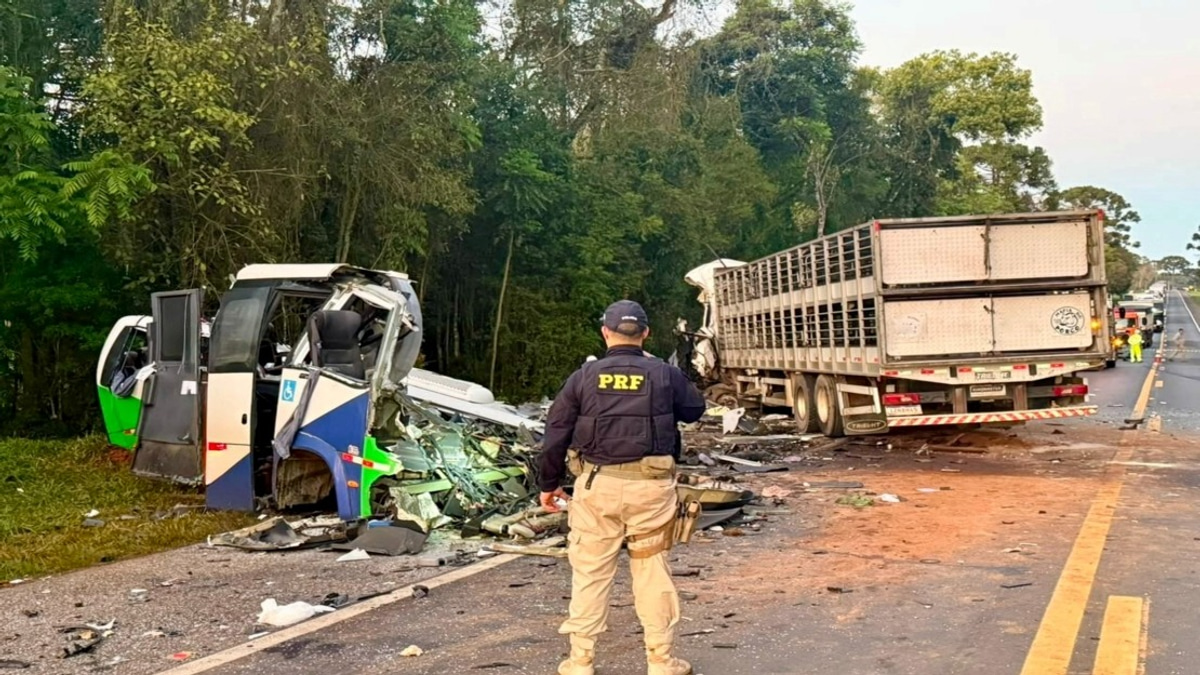 23 Dead In Head-On Collision Between Bus And Lorry In Brazil