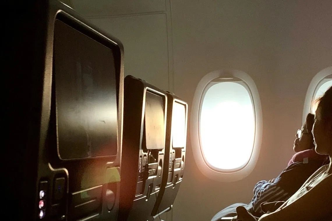 South Korean Teen Petitions Government to Restrict In-Flight Movie Content for Children