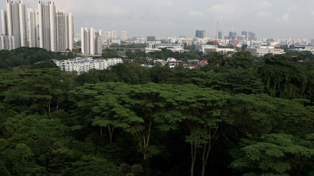 Singapore Arrests Three Teenagers Over Terror Attack Plans, Citing Rising Youth Radicalisation Threat