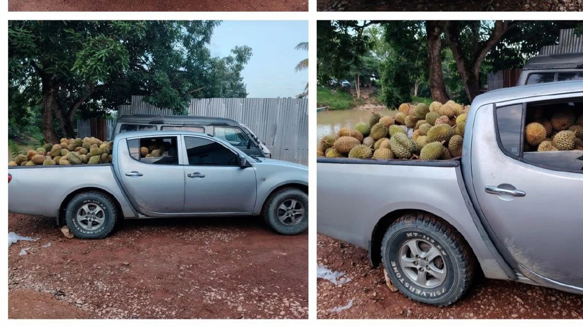 Part-time Driver Arrested with 700kg of Suspected Smuggled Durians in Kelantan