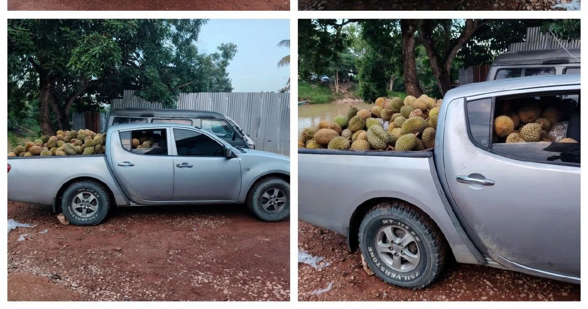 Part-time Driver Arrested with 700kg of Suspected Smuggled Durians in Kelantan
