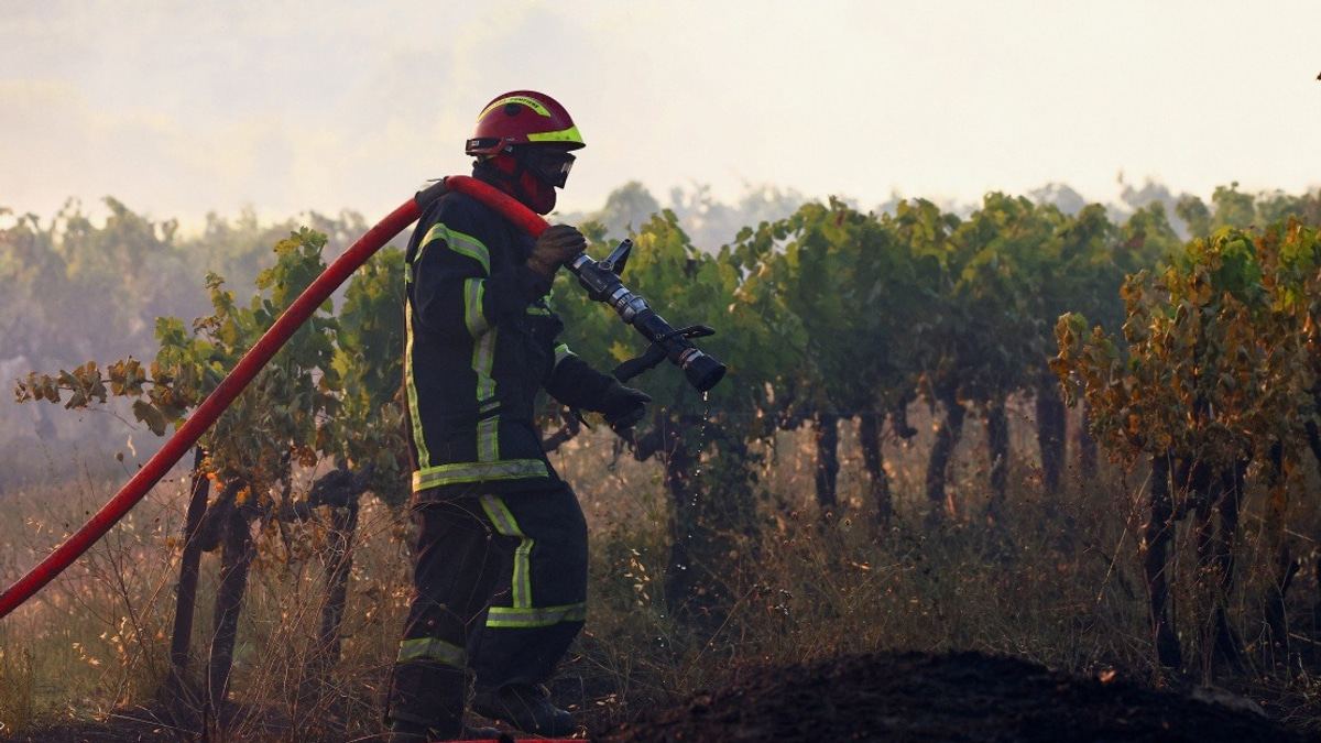 Southeastern France Battles Major Wildfire as Heat Wave Ravages European Summer