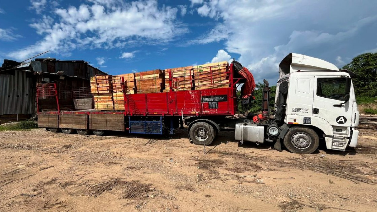 Five arrested as authorities bust RM2.32 million illegal timber racket in Kelantan