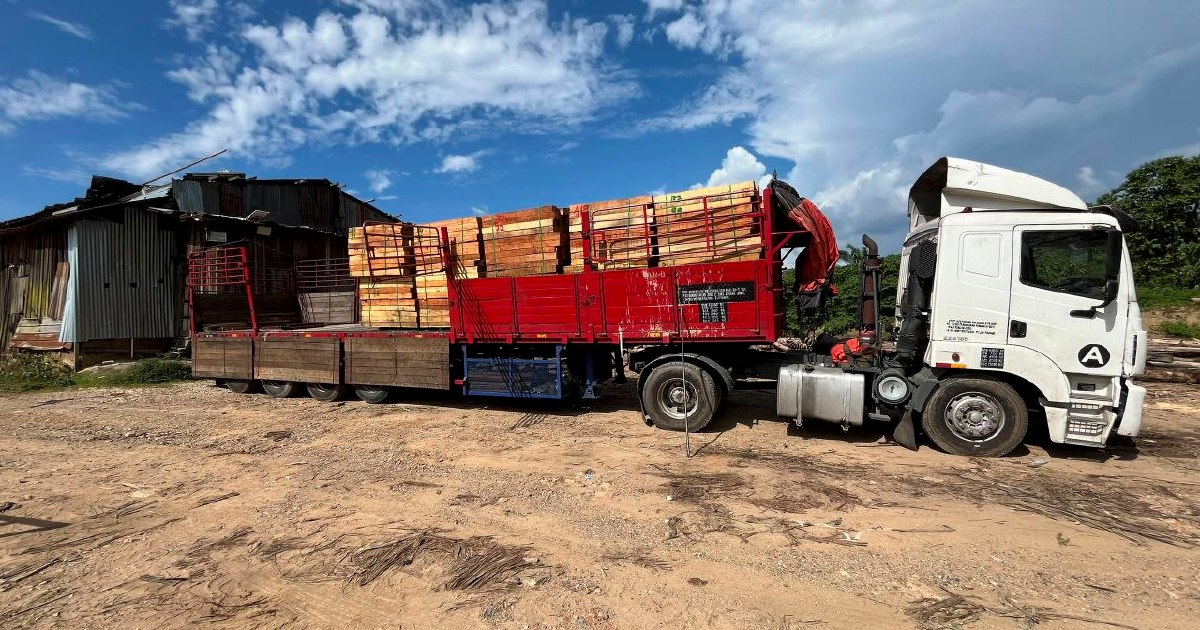 Five arrested as authorities bust RM2.32 million illegal timber racket in Kelantan