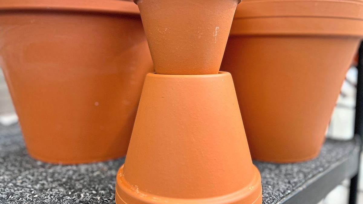 Keeping Microplastics Out of Your Garden: A Practical Guide for Conscious Growers
