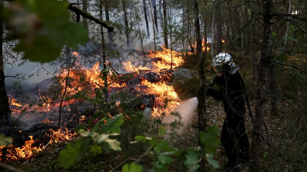 Massive wildfires destroy 1,300 hectares of historic forest near Paris; arrests made