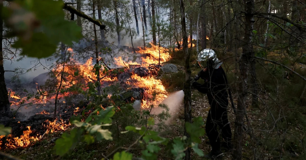 Massive wildfires destroy 1,300 hectares of historic forest near Paris; arrests made