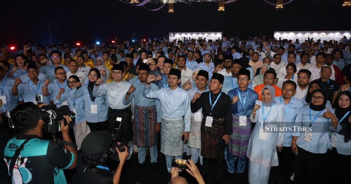 Pakatan Harapan Must Earn Back Voter Confidence, Not Blame Electorate, Says PKR Youth Chief