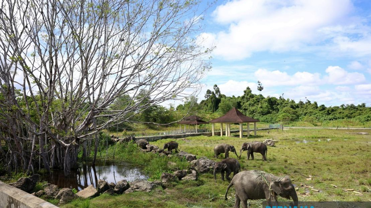 Sabah Eyes Broader Wildlife Sanctuary Roll-Out Following Tawau Pilot Project