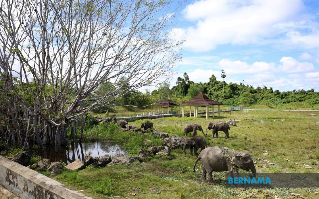 Sabah Eyes Broader Wildlife Sanctuary Roll-Out Following Tawau Pilot Project