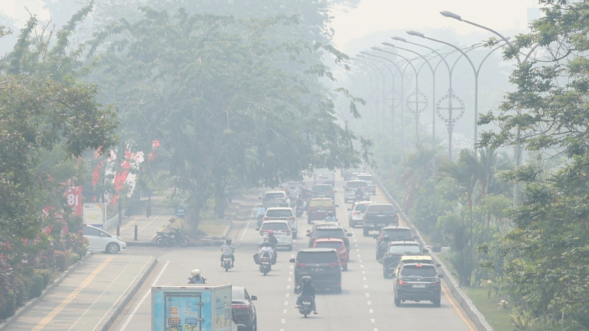 Indonesia's Central Kalimantan Choked by Hazardous Haze as API Reaches 573