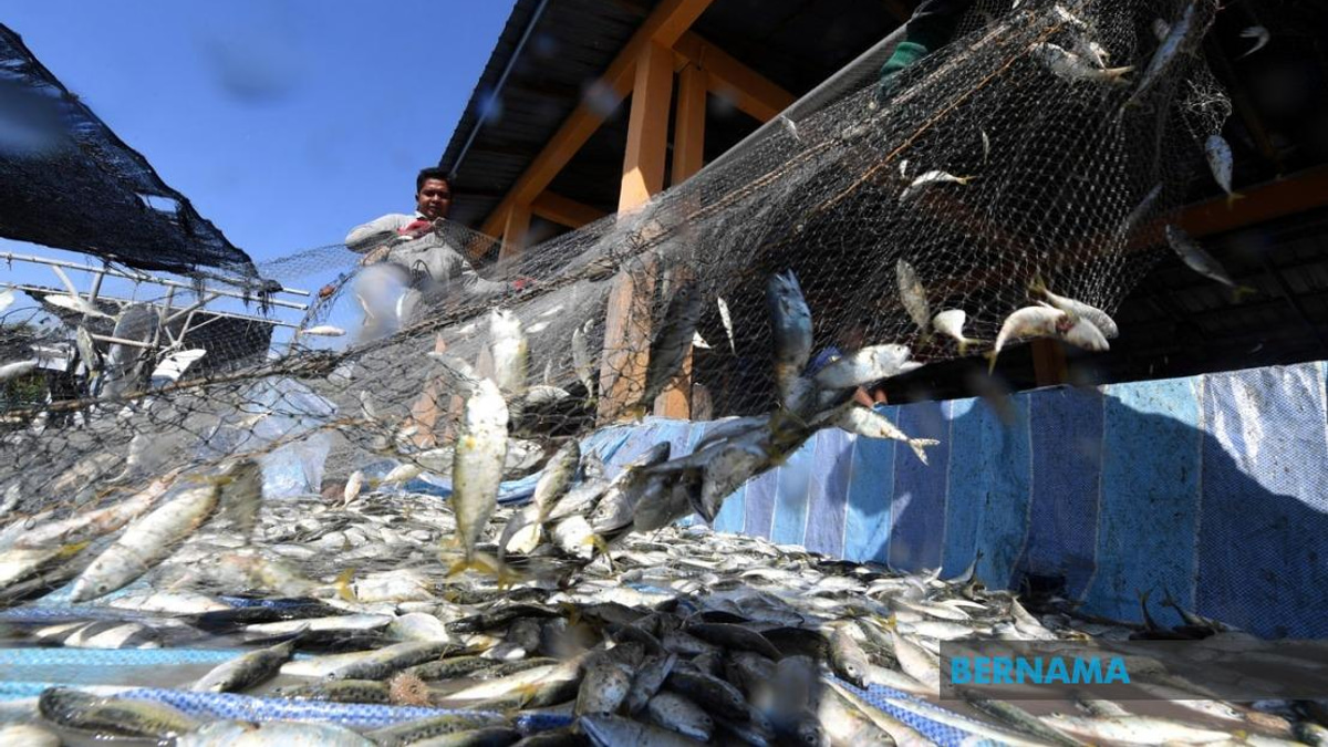 Government Allocates RM10 Million for Fishermen Housing Expansion Nationwide