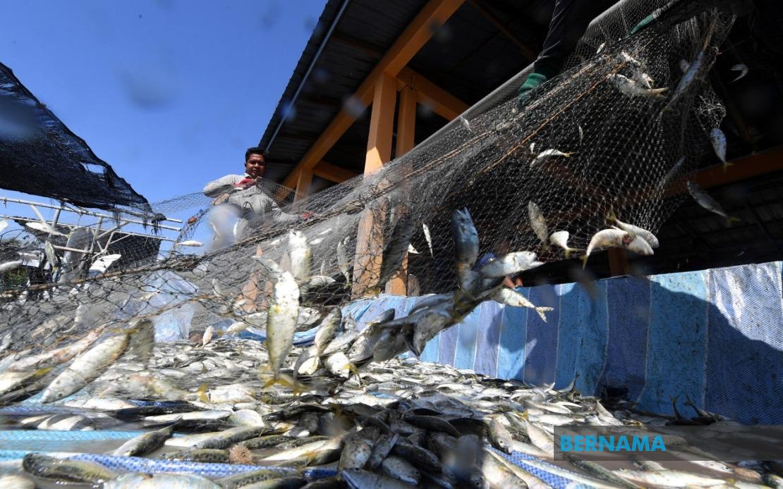 Government Allocates RM10 Million for Fishermen Housing Expansion Nationwide