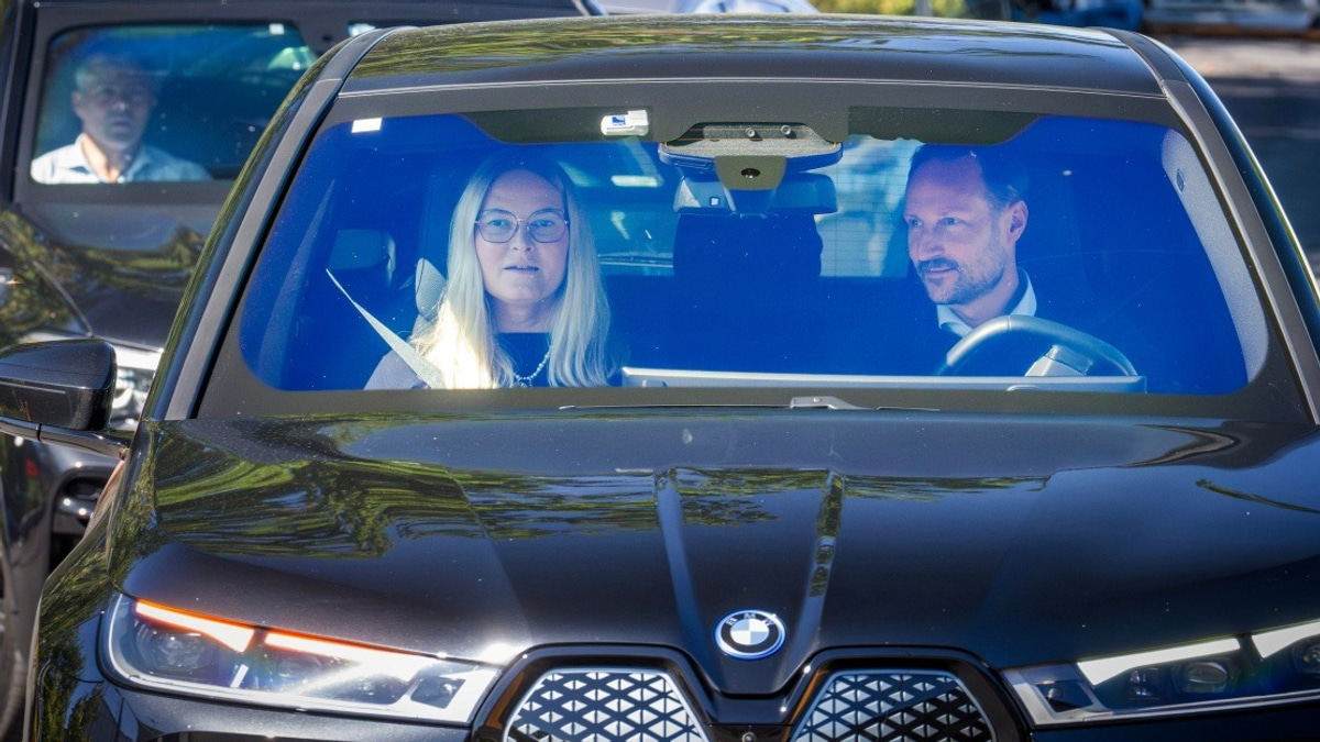 Norwegian King Harald V's Health Takes Critical Turn; Crown Prince, Queen Cancel Engagements