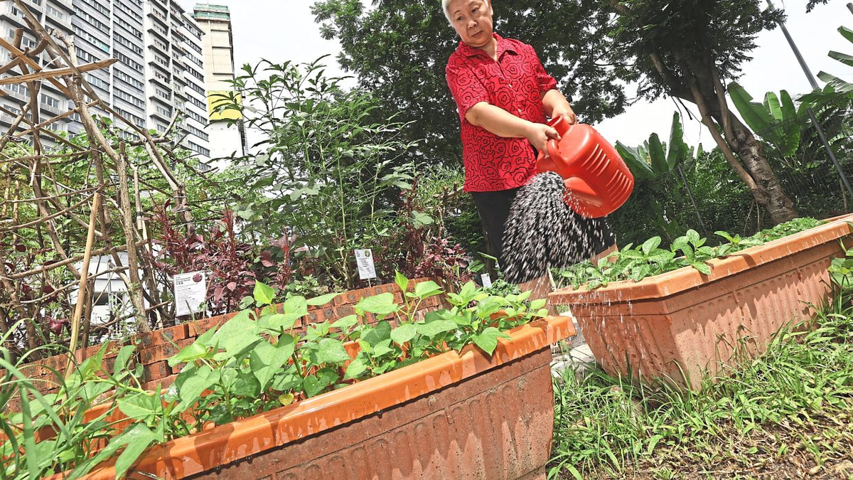 From Wasteland to Wellness: How Kuala Lumpur's 1Razak Mansion Food Forest is Transforming Senior Living