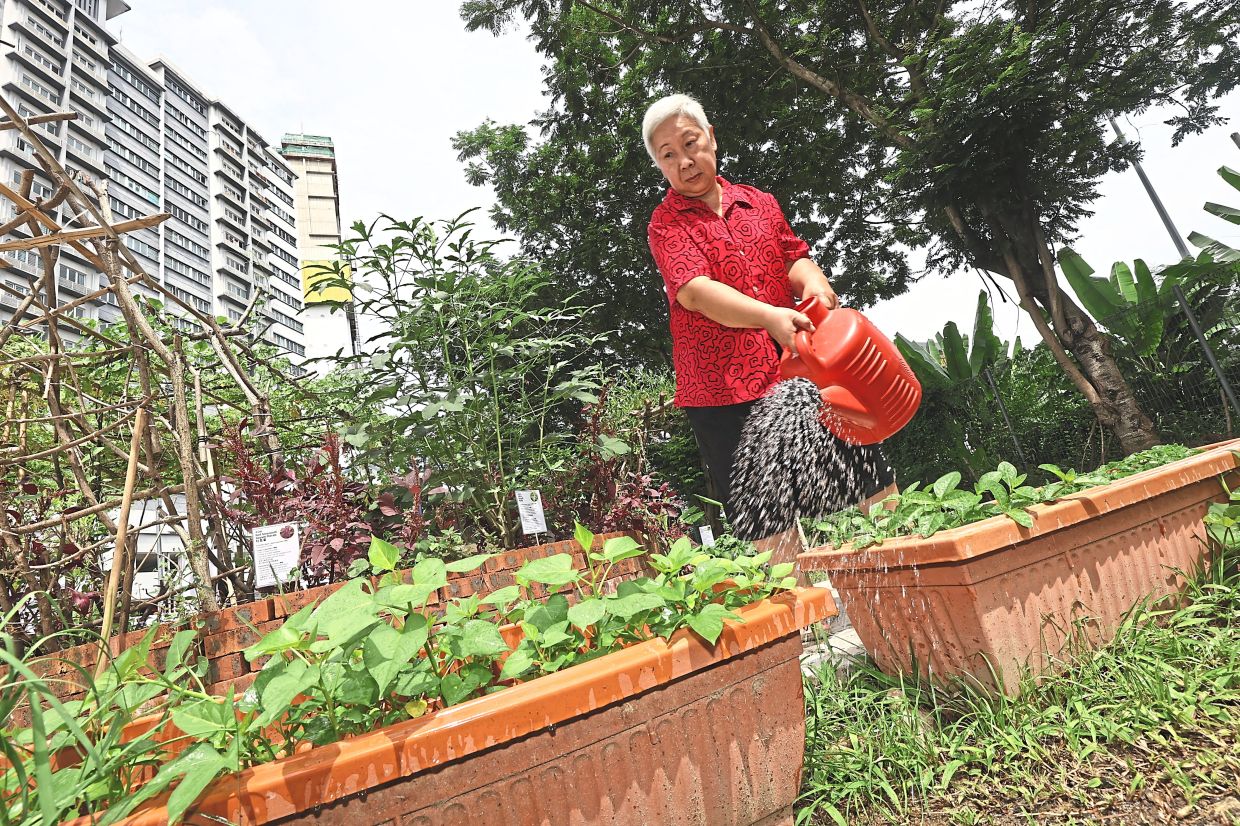 From Wasteland to Wellness: How Kuala Lumpur's 1Razak Mansion Food Forest is Transforming Senior Living
