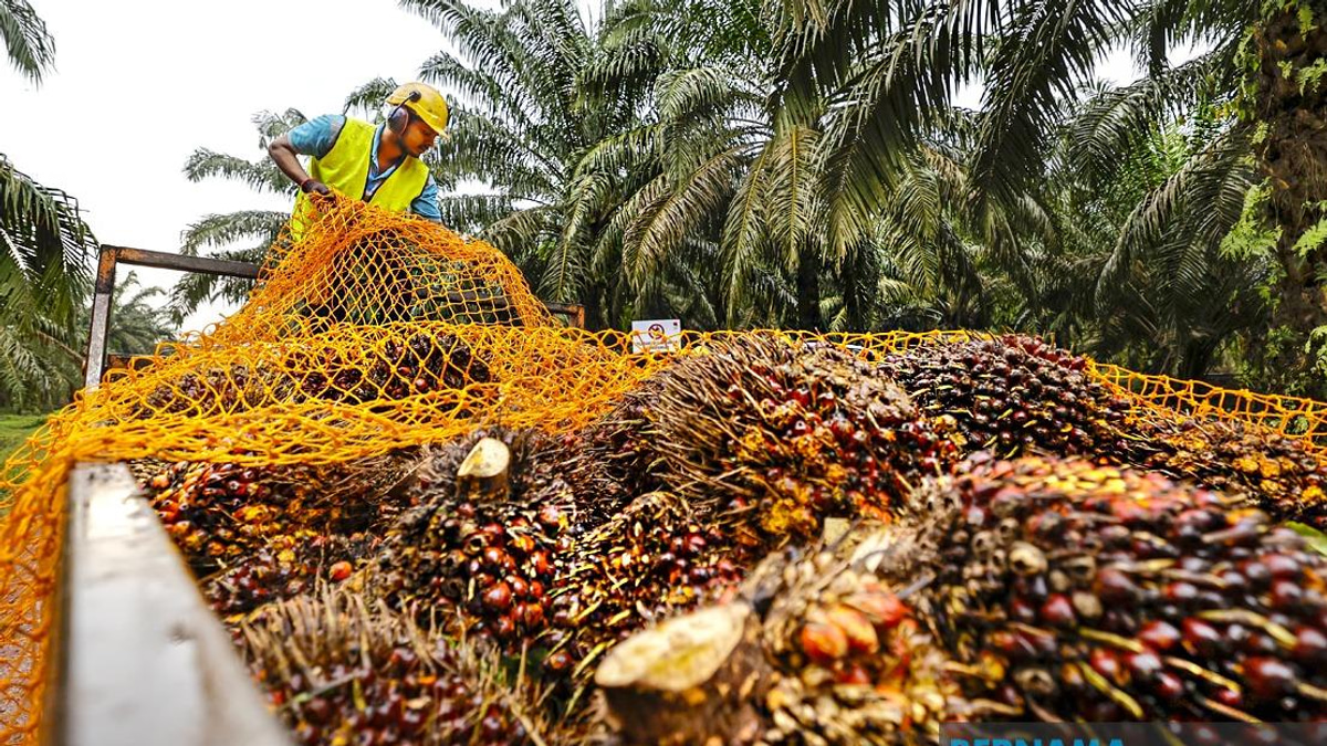 Malaysia's Palm Oil Sector to Embrace Digital Innovation and Low-Carbon Practices
