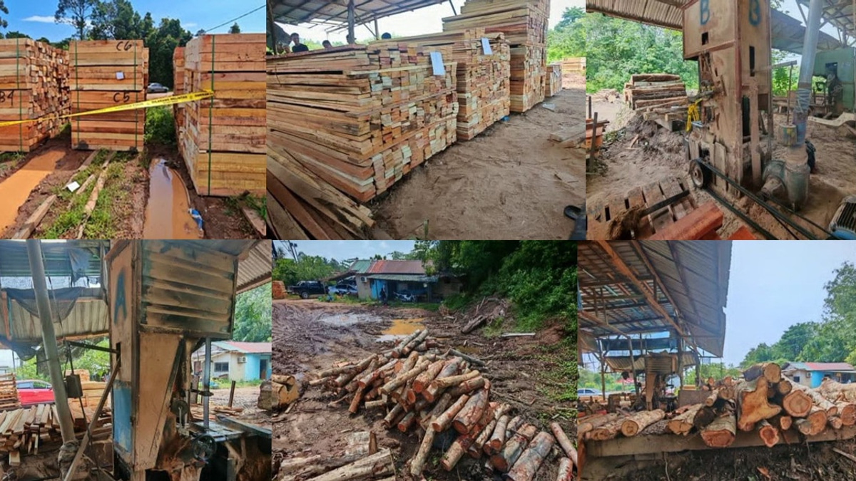 Four suspects held as authorities crack down on illegal timber operations in Kelantan