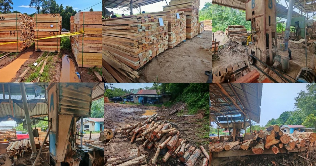 Four suspects held as authorities crack down on illegal timber operations in Kelantan