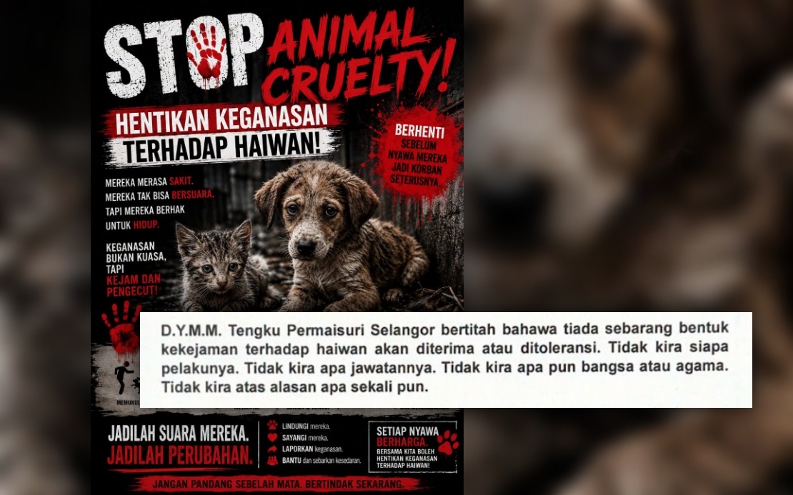 Tengku Permaisuri Norashikin Condemns Rising Animal Cruelty, Calls for Tougher Laws