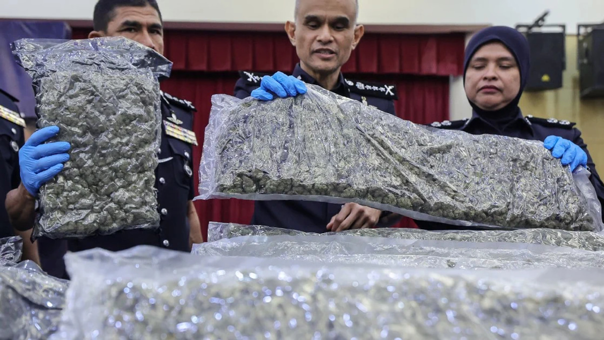 Police uncover major cannabis smuggling ring at KLIA with 650kg seizure and 38 arrests