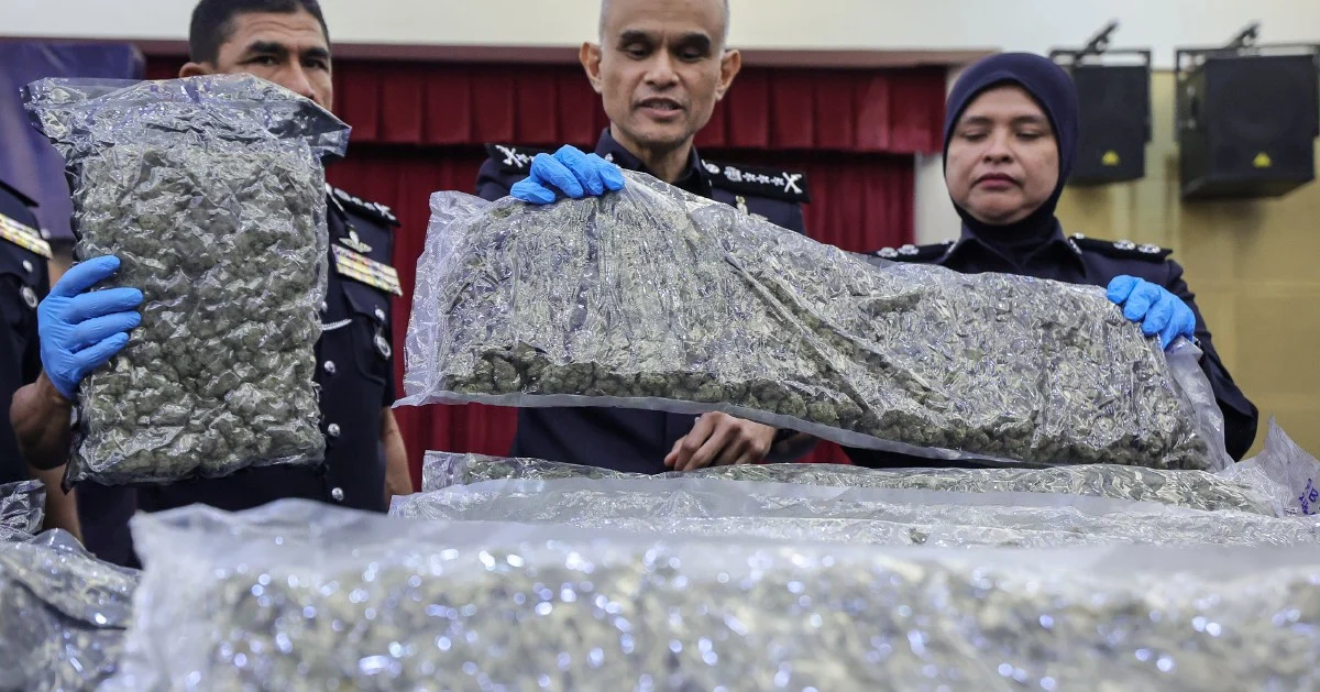 Police uncover major cannabis smuggling ring at KLIA with 650kg seizure and 38 arrests