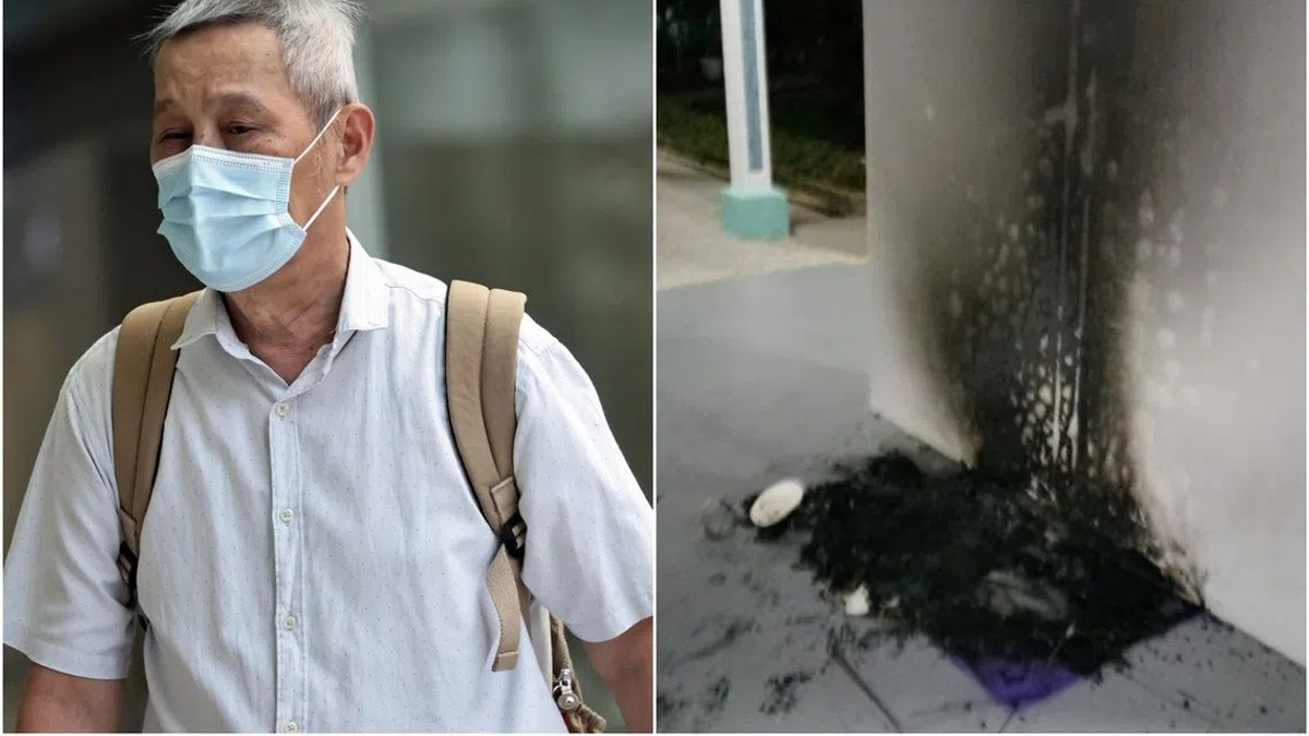 Singapore man jailed three months for burning community cat houses in dispute over animal welfare