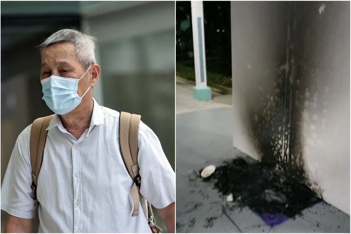 Singapore man jailed three months for burning community cat houses in dispute over animal welfare