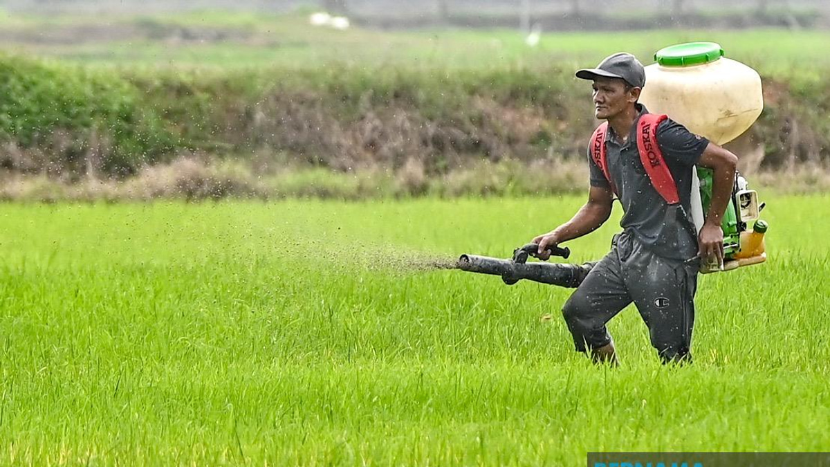 Kelantan Invests RM3.64 Million in Agriculture Development as State Pushes Food Security Agenda